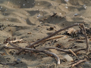 Makuhari sandy beach