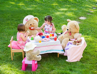 Elevated view of two young caucasian girls playing Teddy Bears Picnic