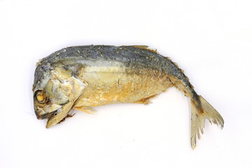 Fried Mackerel isolated on white background, It's Good Seafood in Thai.