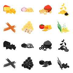 Isolated object of taste and seasonin sign. Collection of taste and organic   stock vector illustration.