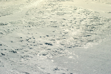 Frozen pond flooded with sunlight