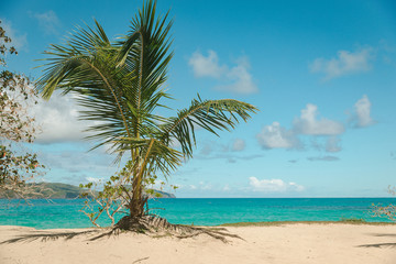 Naklejka na ściany i meble Rincon beach in Dominican Republic