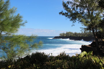 La Marine - St Benoit - Reunion Island