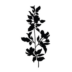 apple tree blossom branch silhouette