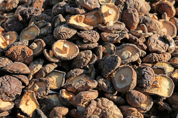 dry mushrooms