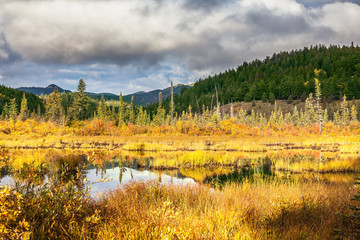 Adorable little lake Patricia