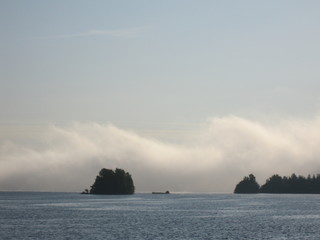 floating island