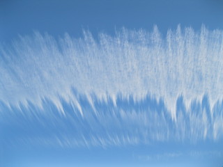 grass and sky