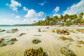 Clear water and palm trees in La Caravelle beach in Guadeloupe