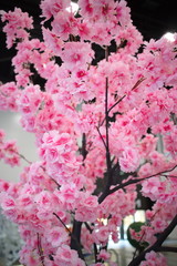 tree with pink flowers