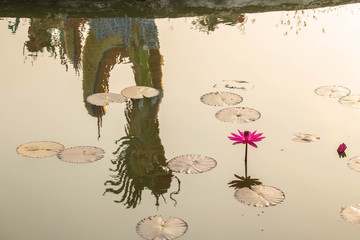 Chinese dragon reflex in a pond.