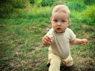 Little toddler boy sitting on a pope on the grass. The child found a flower in the grass, plucked the plant and stretched it forward. Toddler gives a small flower.