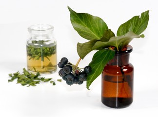 Efeu Tinktur , pflanzliches Arzneimittel