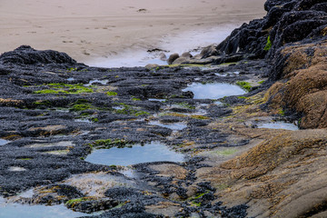 Rocky shoreline is waves swept, Murawai Beach, Auckland, New Zealand