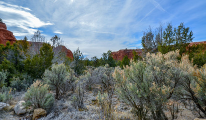 Fototapeta na wymiar Kochorme State Park Utah focus on blue, green, yellow desert plants scrubs, underbrush 
