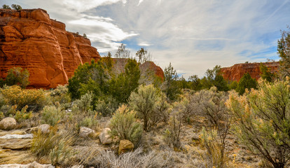 Kochorme State Park Utah dearest plants and rocky cliffs, with soft painted filter