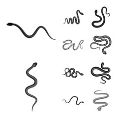 Vector illustration of harm and bite symbol. Set of harm and reptile vector icon for stock.