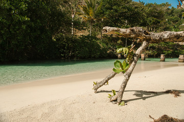 Rincon Beach - Dominicana