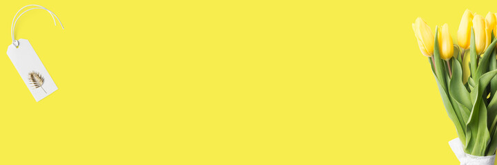 Frühling - schöne Tulpen mit Textfreiraum / Banner