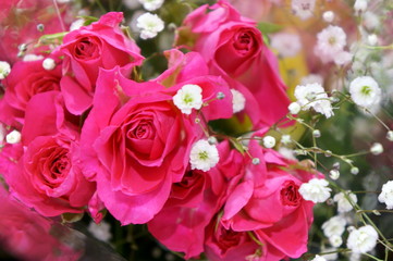 Bouquet of roses