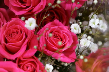 Bouquet of roses