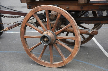 Obraz premium wheel of diligence