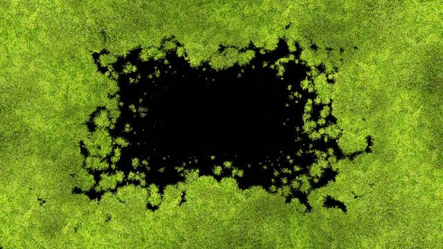 Green Moss Covering the Screen Beautiful Animation. Growing Grass Process with Alpha Matte. Useful for Transitions. Spring Nature and New Life Concept. 4k Ultra HD 3840x2160