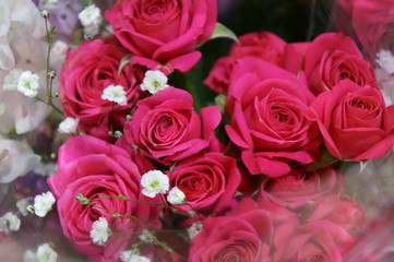 Bouquet of roses