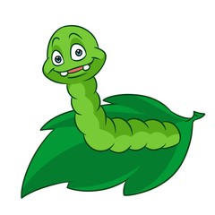 Green fun caterpillar insect leaf character cartoon illustration isolated image