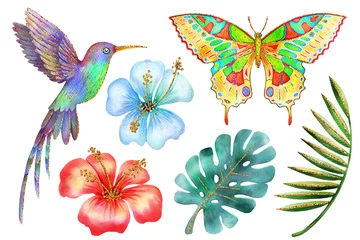 Deurstickers Vlinders Watercolor and gold. Tropical flowers, leaves, hummingbird, butterfly set. Isolated on white background design elements