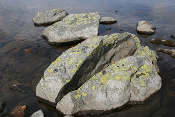 stones in water