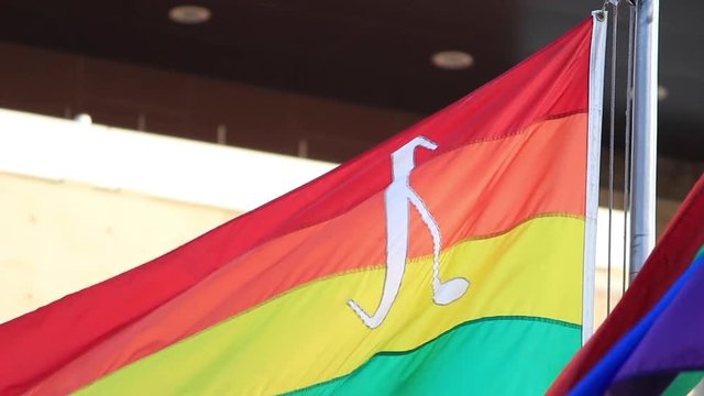 Rainbow LGBT Pride Flag with Lambda Symbol