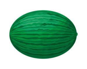 fresh healthy watermelon fruit