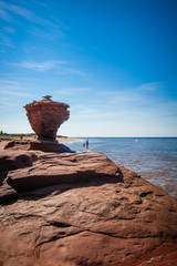 The cliff on the coast