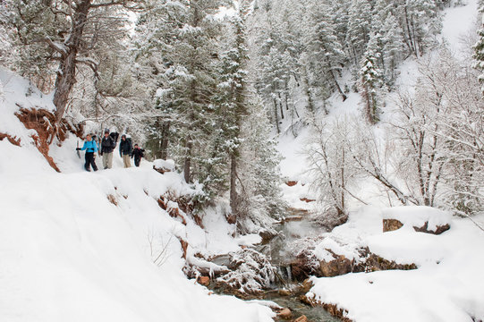 (front to back) Jill Baker, Matt Conn, Thom Allen, and Annette Maza backpack along a snowy trail above a stream after a night of winter camping in Diamond Fork, Springville, Utah.