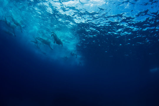 Swimmers race off into the distance during the annual Mana Island Ocean swim event off Mana Island, Fiji.