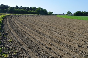 Ground after sown