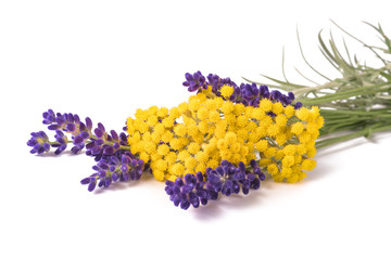 lavender and helichrysum flowers