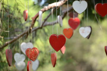 Love Hearts in a Tree