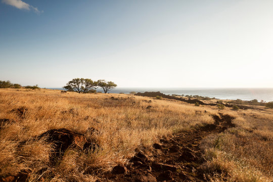 Lapakahi State Historical Park is a partially restored fishing village that is over 600 years old.