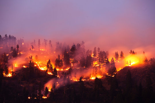 A forrest fire burning the side of a mountain in East Missoula, Montana.