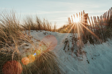 French landscape - Bretagne. Sunset with dunes and grass.