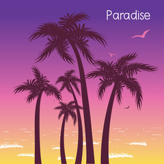 Tropical island paradise with palms silhouette in summer hot evening
