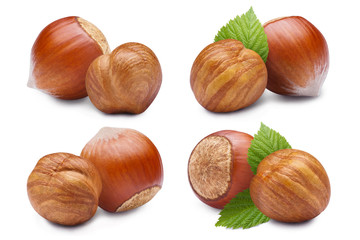 Set of hazelnuts, isolated on white background