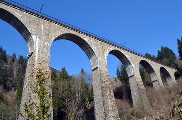 Fototapeta premium Ravennabrücke im Schwarzwald