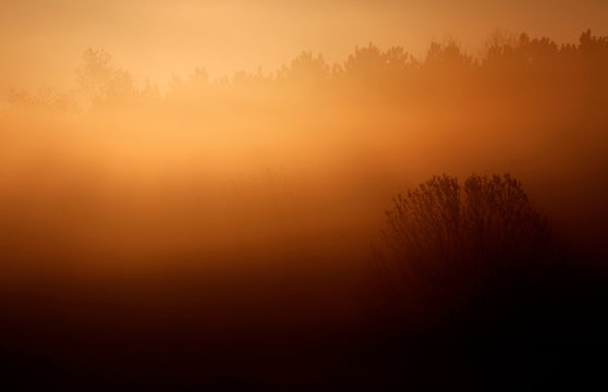 The sun raises over the International Crane Foundation (ICF) restored prairie.