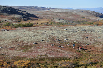 Backpackers hike on the Kesgui Ridge Trail in Denali State Park, Alaska September 2010. The 27.5-mile trail connects the Little Coal Creek and Byers Lake trailheads.