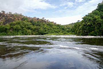 Landscape in Murchison Falls