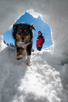 Male ski patroller and his search dog training at the Crested Butte Ski Resort, Crested Butte, Colorado.