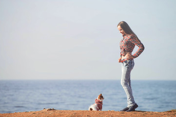 beautiful thin young caucasian girl in plaid shirt and jeans on sea shore with little chihuahua dog with copy space